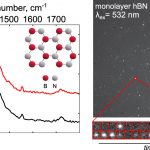 Spectrally Resolved Photodynamics of Individual Emitters in Large-Area Monolayers of Hexagonal Boron Nitride