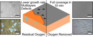 The Role and Control of Residual Bulk Oxygen in the Catalytic Growth of 2D Materials