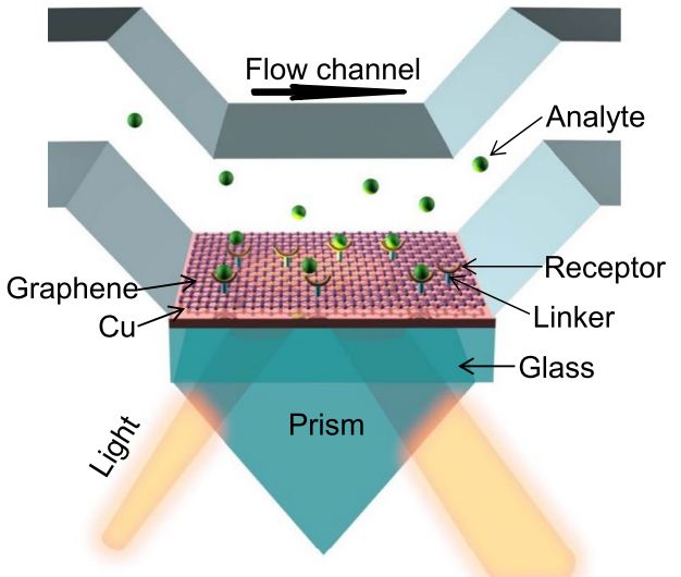 Layered material platform for surface plasmon resonance biosensing