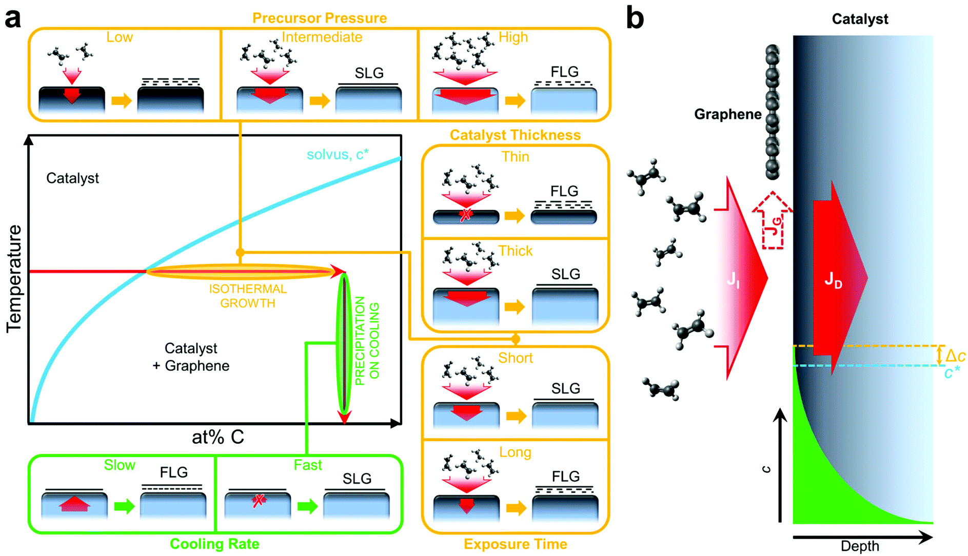 Towards a general growth model for graphene CVD on transition metal catalysts