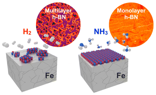 Controlling Catalyst Bulk Reservoir Effects for Monolayer Hexagonal Boron Nitride CVD