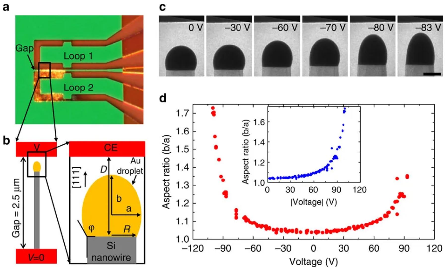 Controlling nanowire growth through electric field-induced deformation of the catalyst droplet