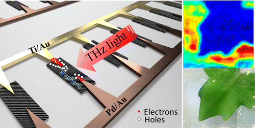 Fast Room-Temperature Detection of Terahertz Quantum Cascade Lasers with Graphene-Loaded Bow-Tie Plasmonic Antenna Arrays