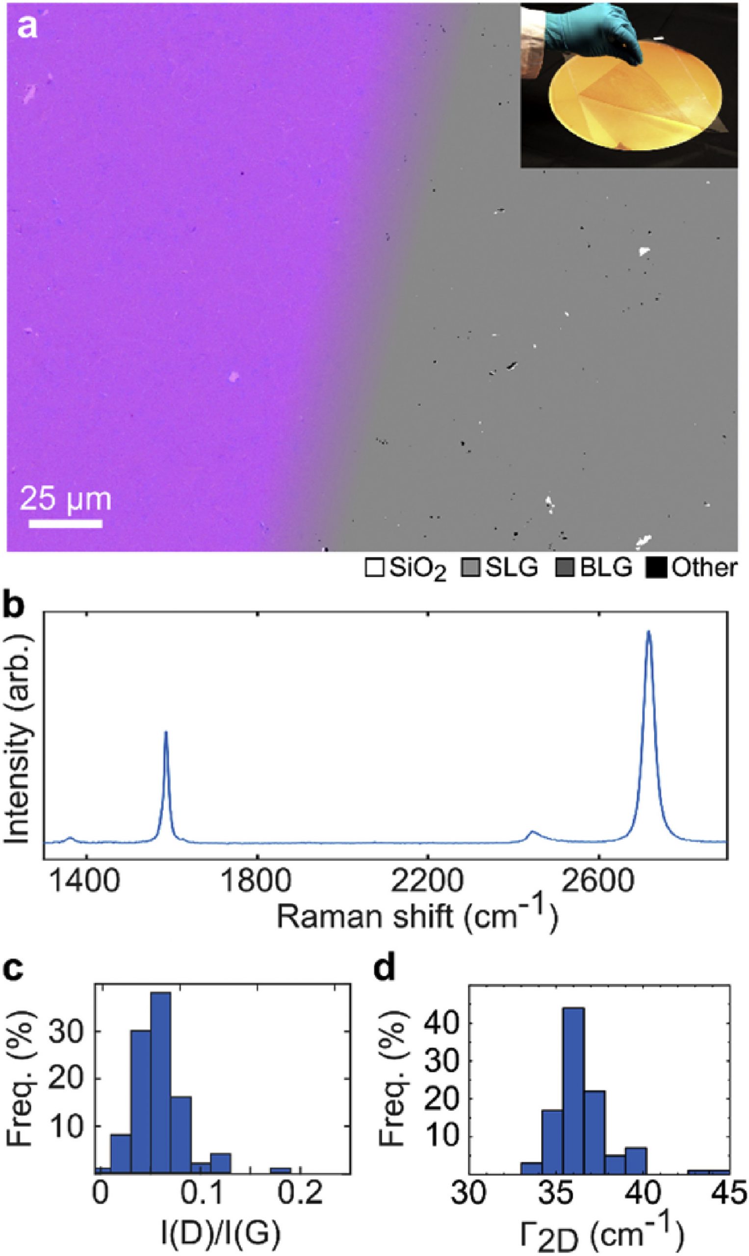 Raman spectral indicators of catalyst decoupling for transfer of CVD grown 2D materials