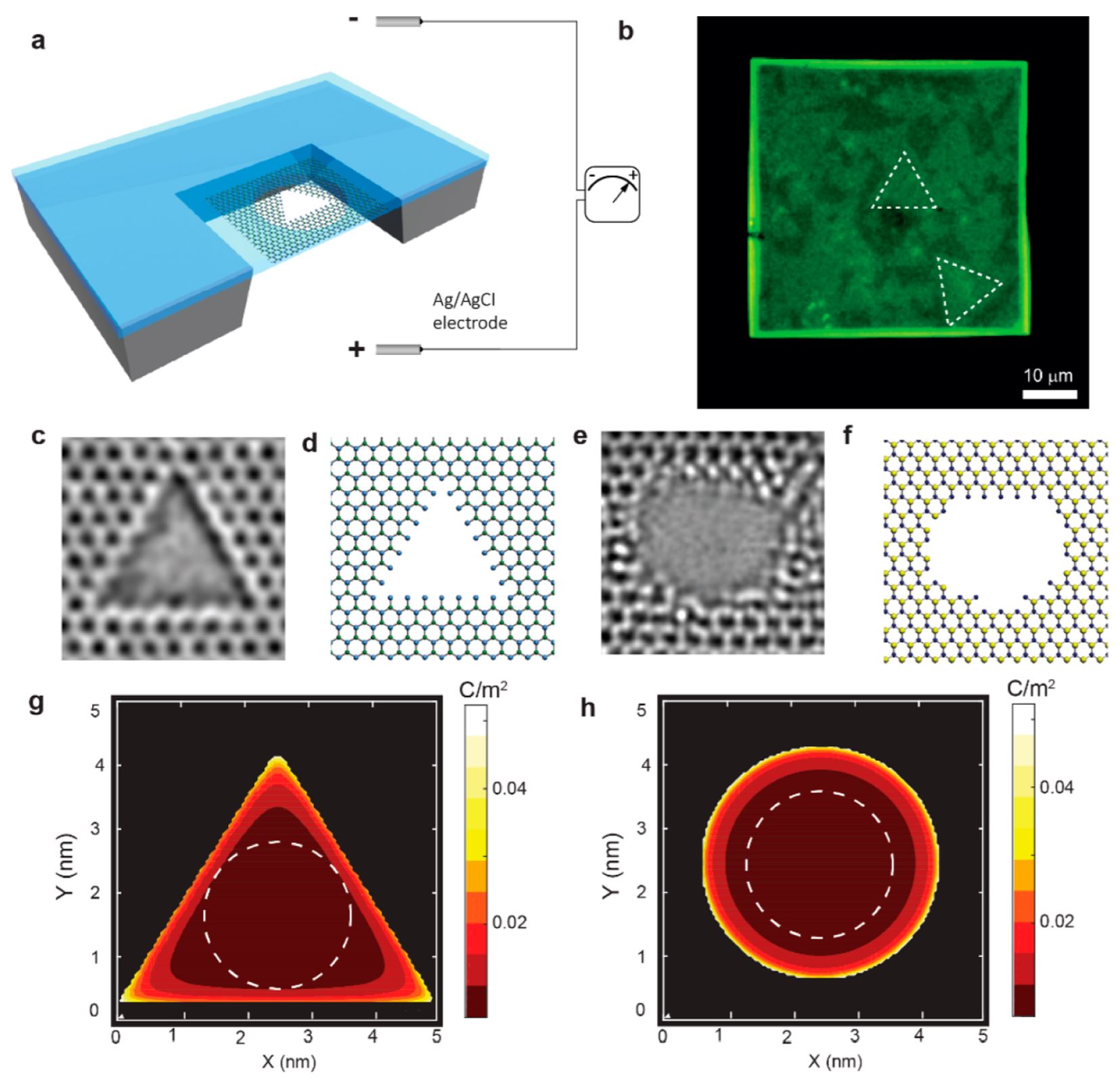 Geometrical Effect in 2D Nanopores
