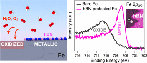From Growth Surface to Device Interface: Preserving Metallic Fe under Monolayer Hexagonal Boron Nitride
