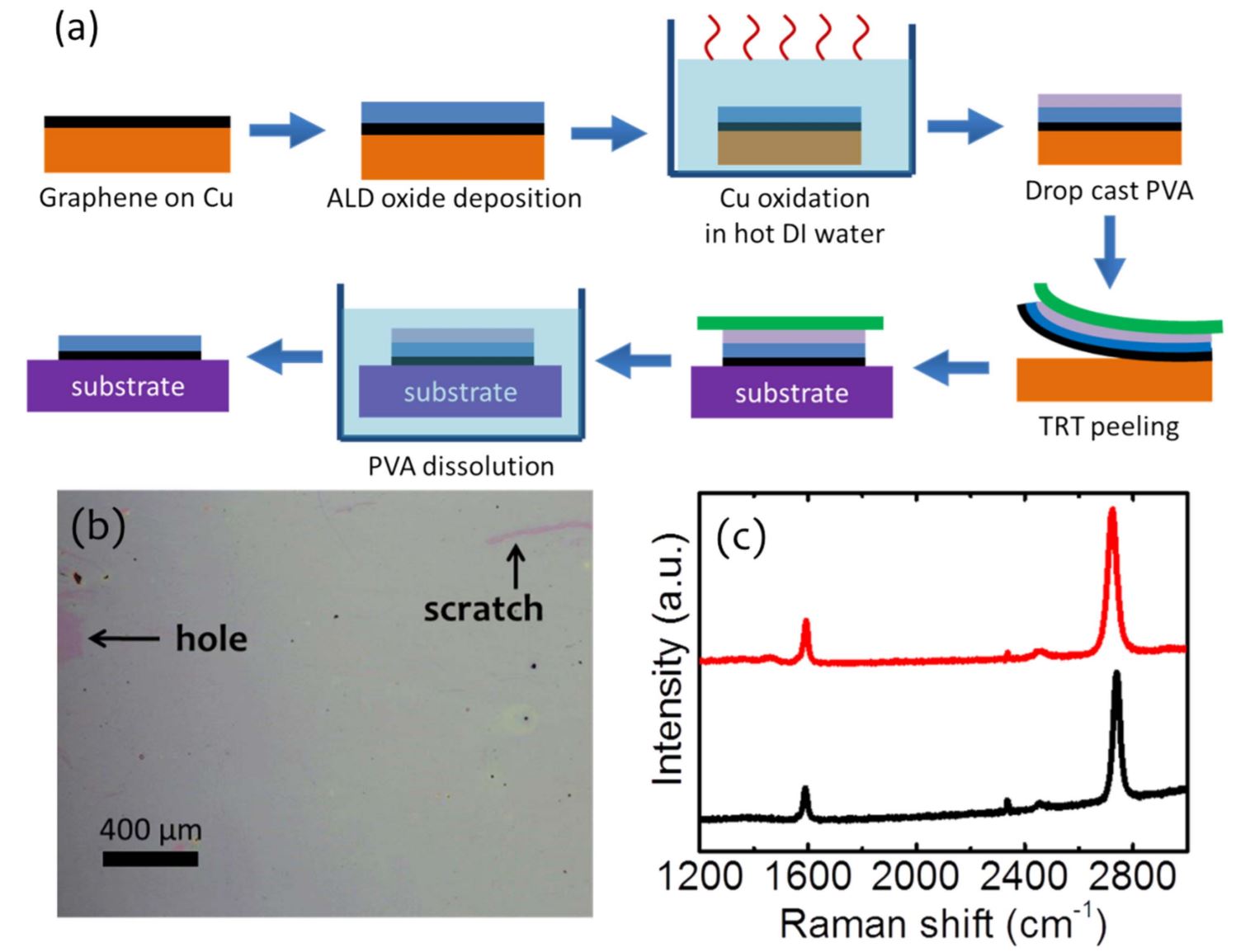 Atomic layer deposited oxide films as protective interface layers for integrated graphene transfer