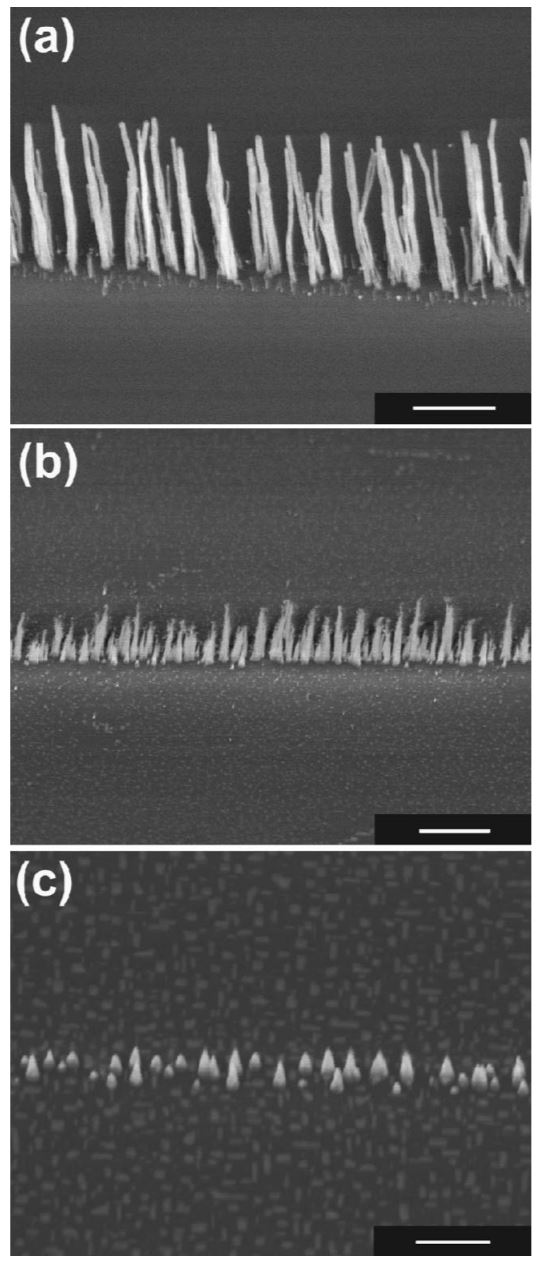 Low-temperature growth of carbon nanotubes by plasma-enhanced chemical vapor deposition