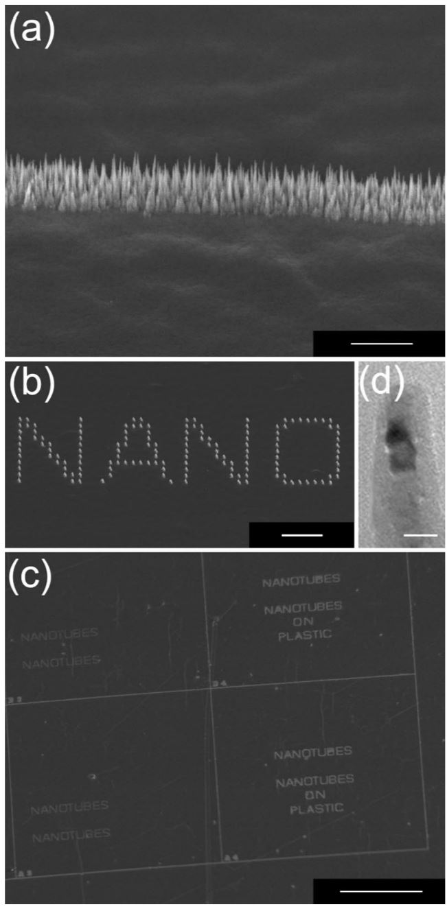 Direct growth of aligned carbon nanotube field emitter arrays onto plastic substrates