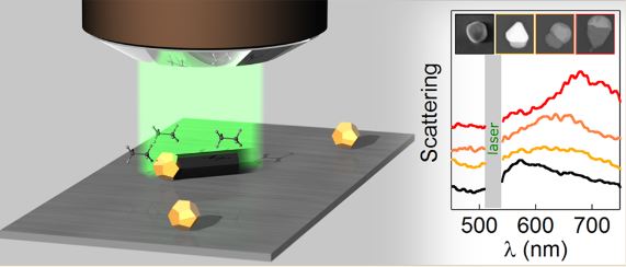 Controlling Nanowire Growth by Light