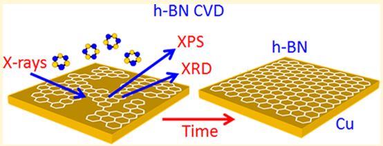 In Situ Observations during Chemical Vapor Deposition of Hexagonal Boron Nitride on Polycrystalline Copper