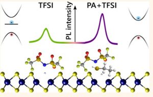 Rational Passivation of Sulfur Vacancy Defects in Two-Dimensional Transition Metal Dichalcogenides