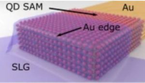 High-yield parallel fabrication of quantum-dot monolayer single-electron devices displaying Coulomb staircase, contacted by graphene