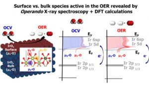Surface Electron-Hole Rich Species Active in the Electrocatalytic Water Oxidation