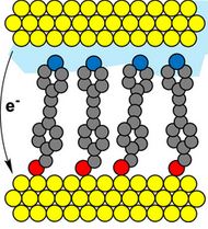 EMPIRICAL PARAMETER TO COMPARE MOLECULE−ELECTRODE INTERFACES IN LARGE-AREA MOLECULAR JUNCTIONS