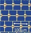 Ultrafast modulation of a THz metamaterial/ graphene array integrated device