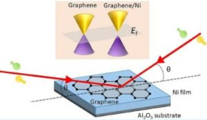Determining the Proximity Effect-Induced Magnetic Moment in Graphene by Polarized Neutron Reflectivity and X-ray Magnetic Circular Dichroism