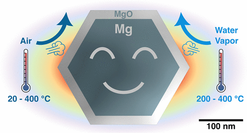 Stability of Plasmonic Mg-MgO Core--Shell Nanoparticles in Gas-Phase Oxidative Environments